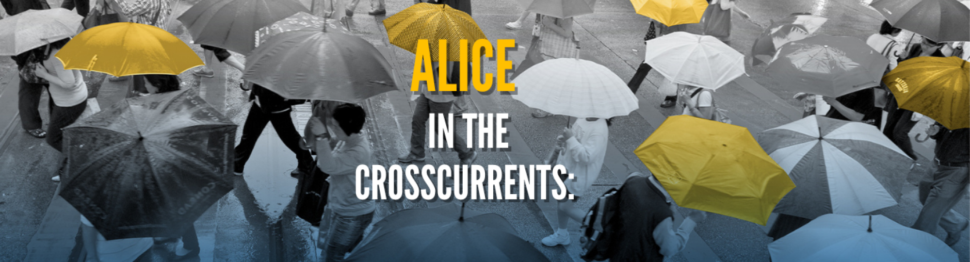 ALICE in the Crosscurrents: Florida Update